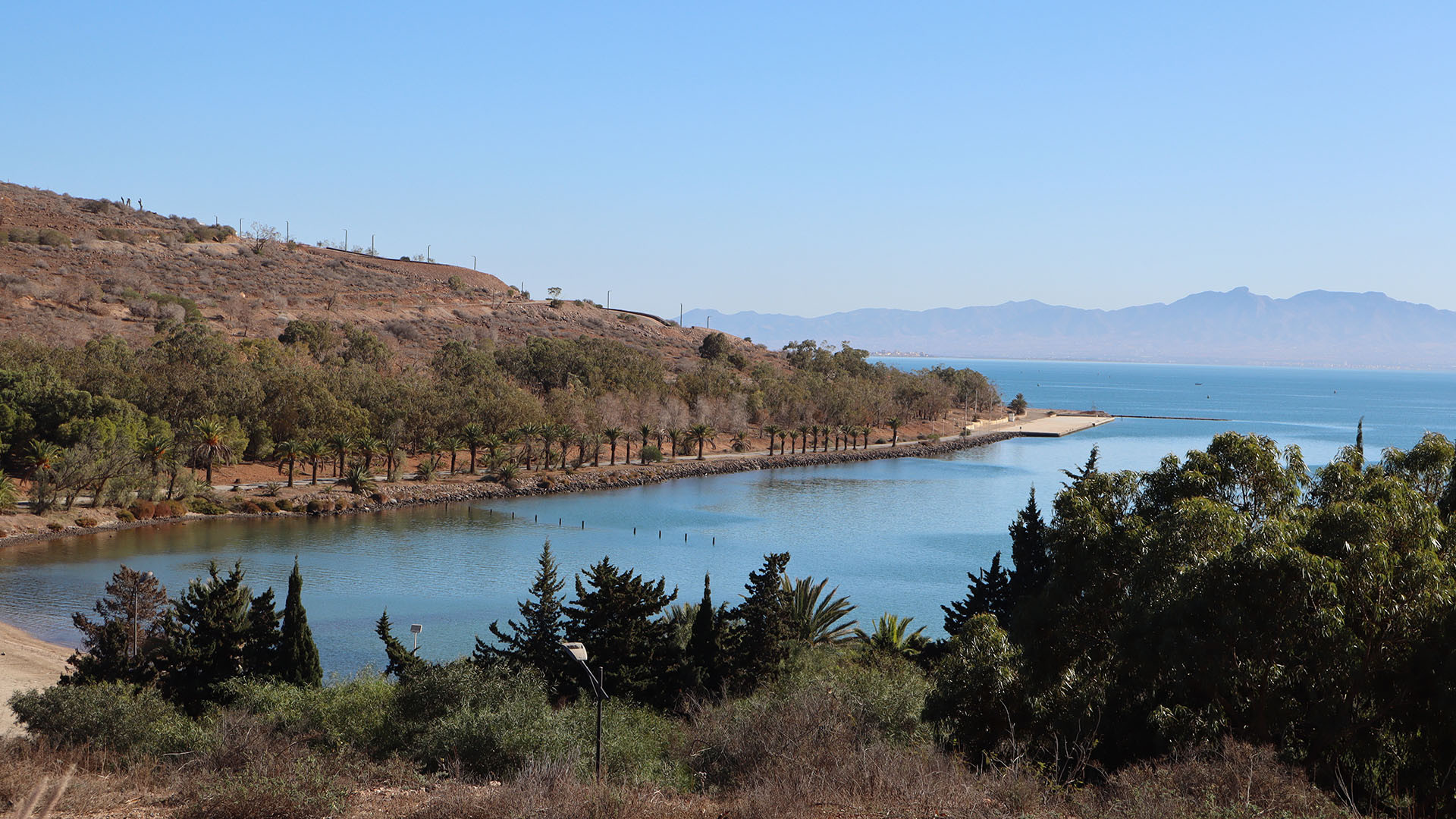 Nador image 5