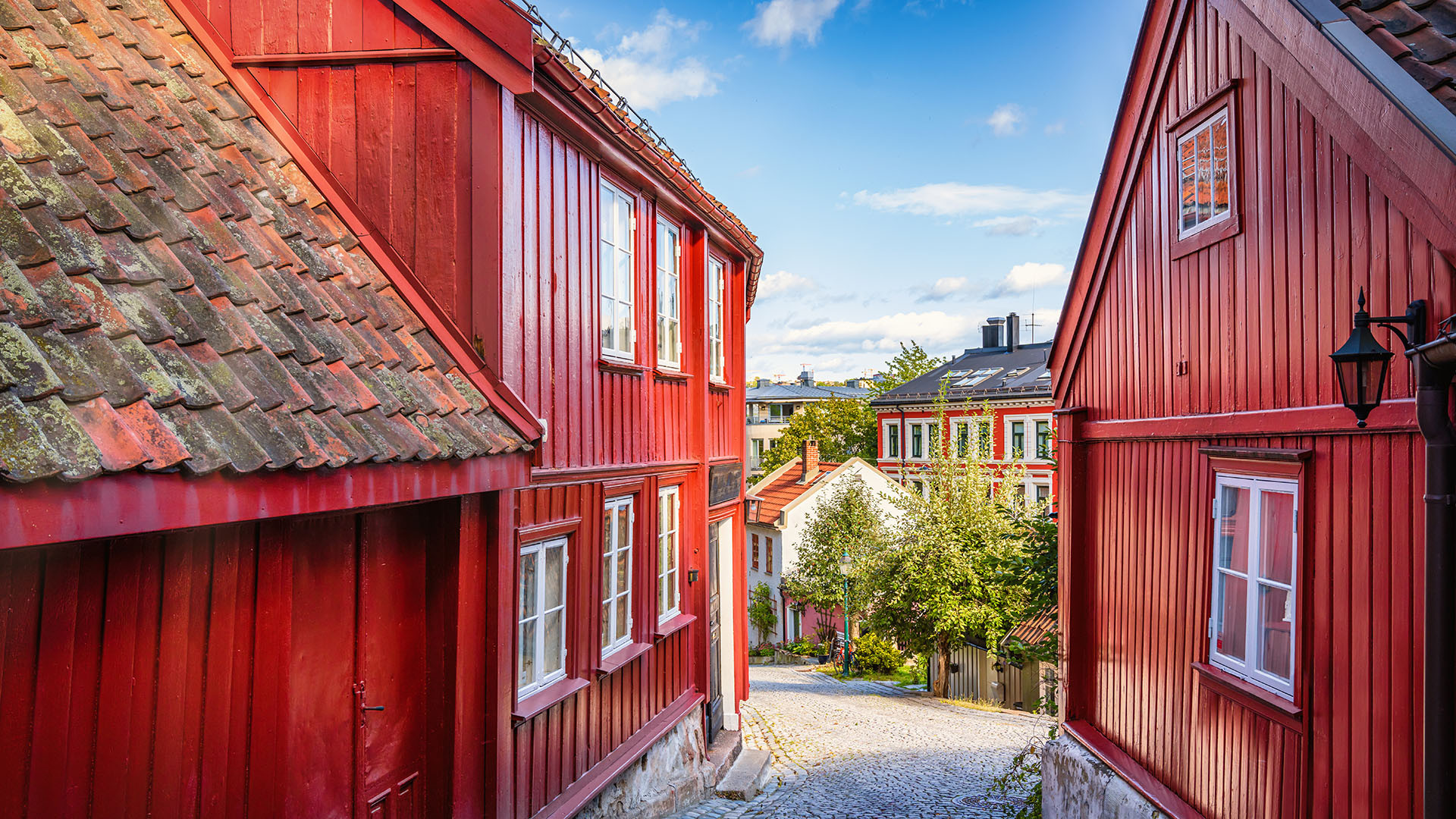 Oslo image 3