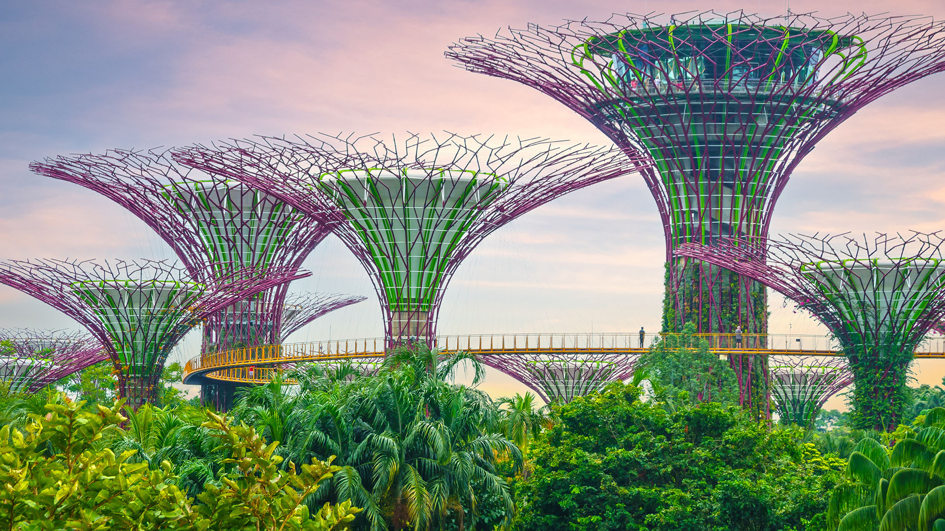 Singapour image 4