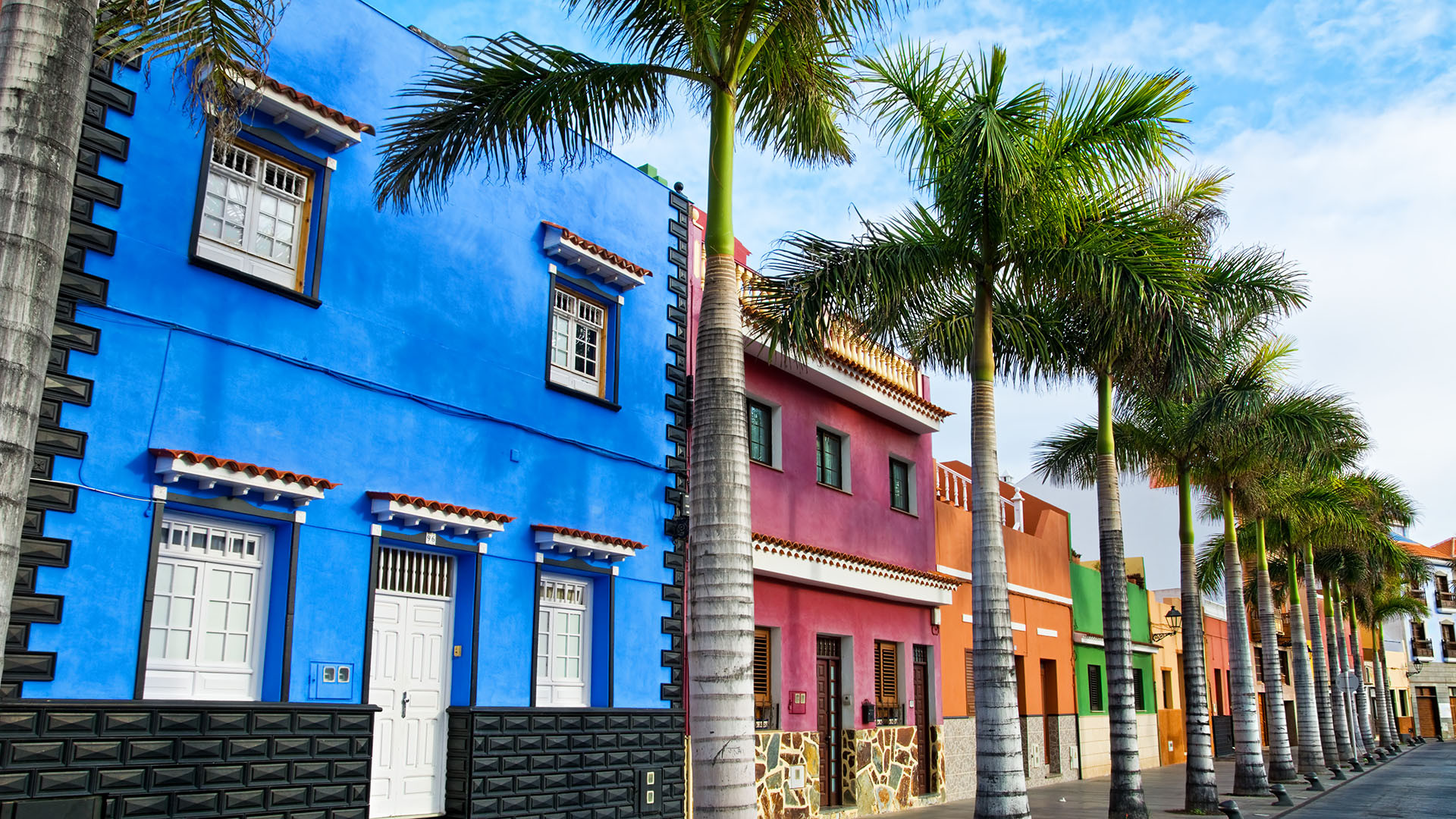 Tenerife image 4