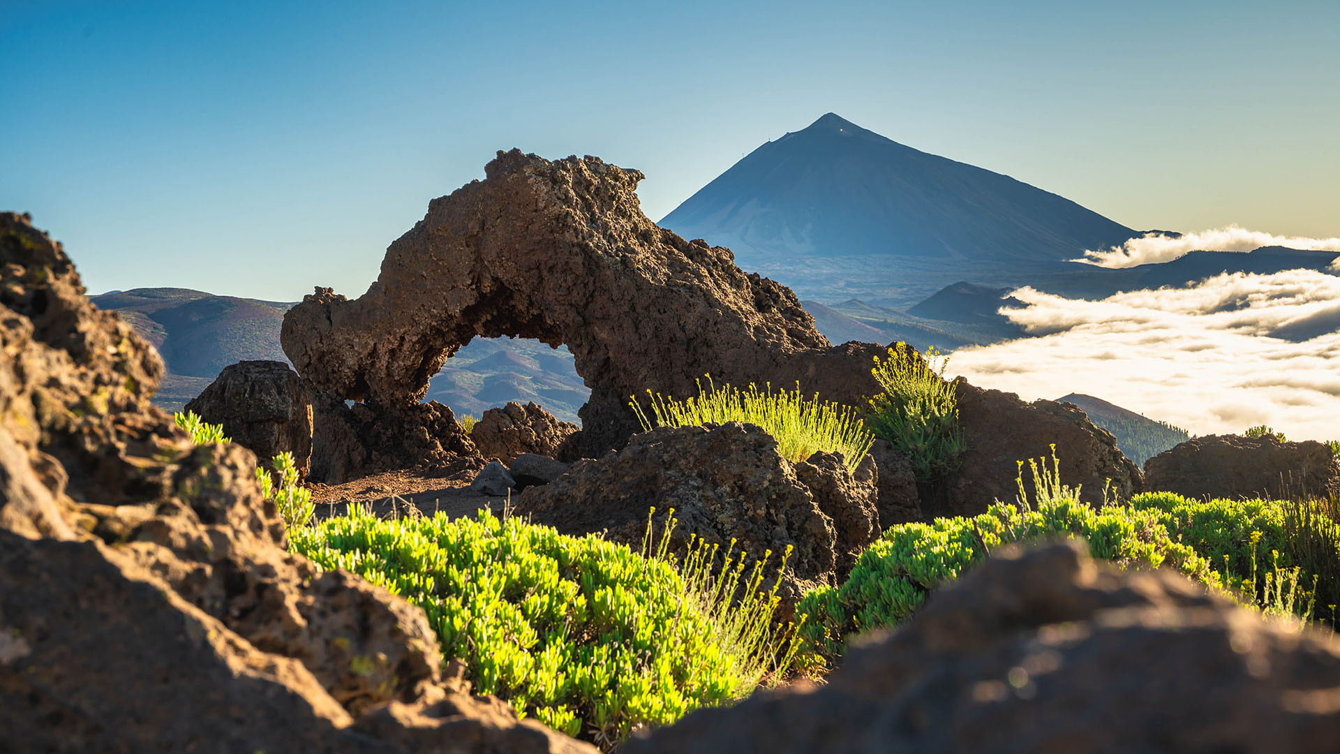 Tenerife image 5