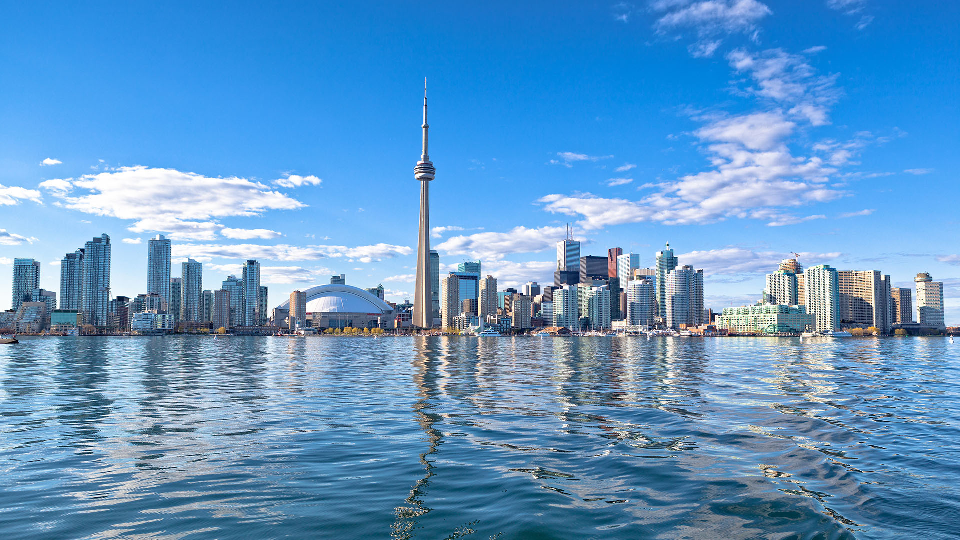 Toronto image 4