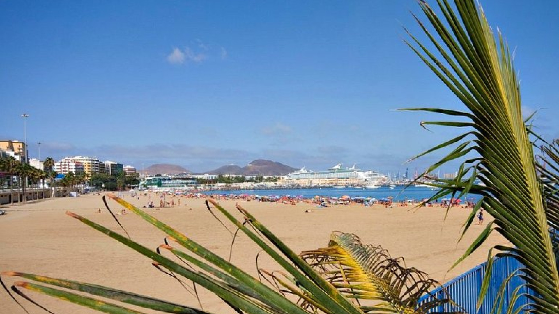 Gran Canaria Las Palmas image