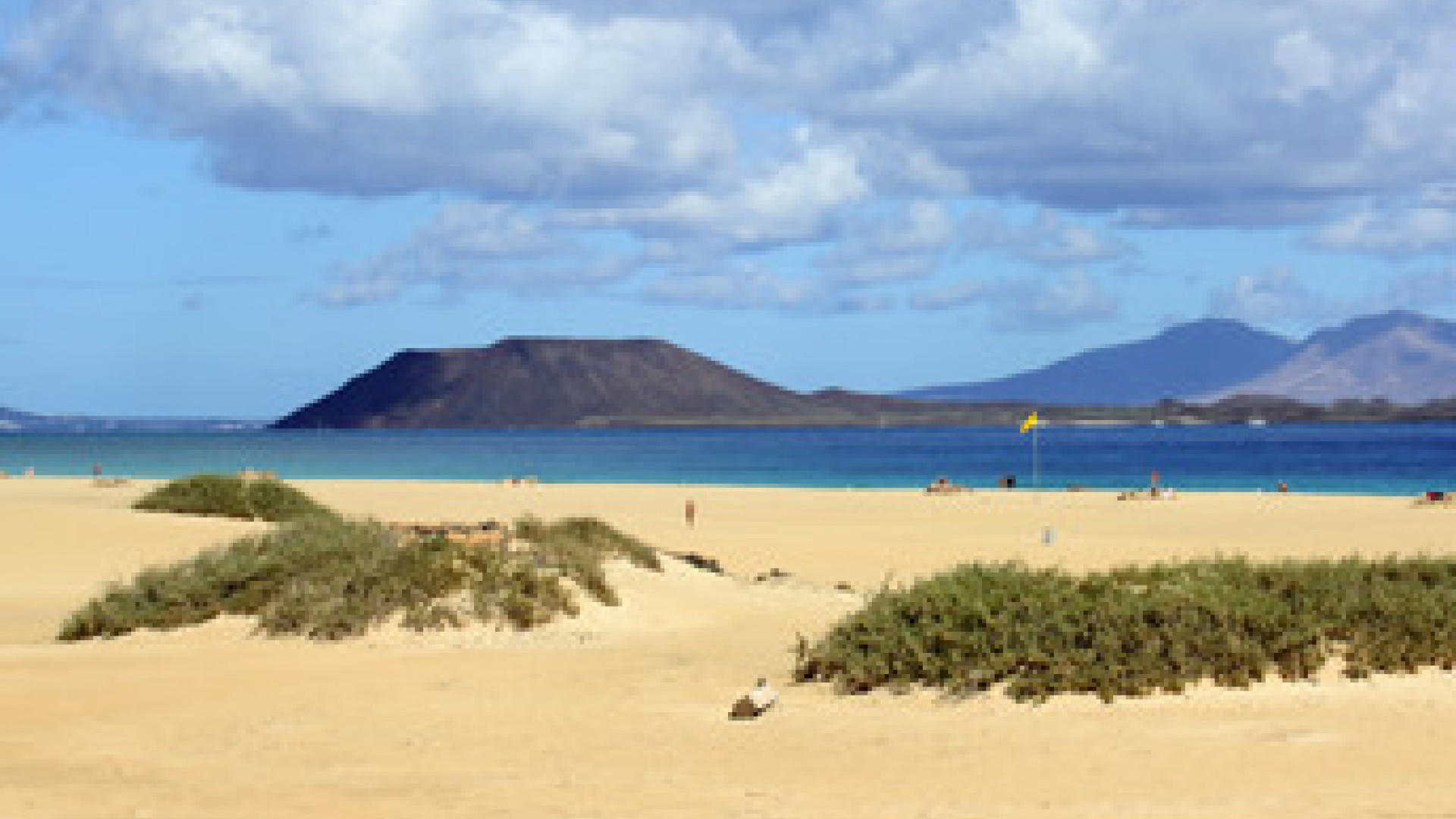 Fuerteventura image