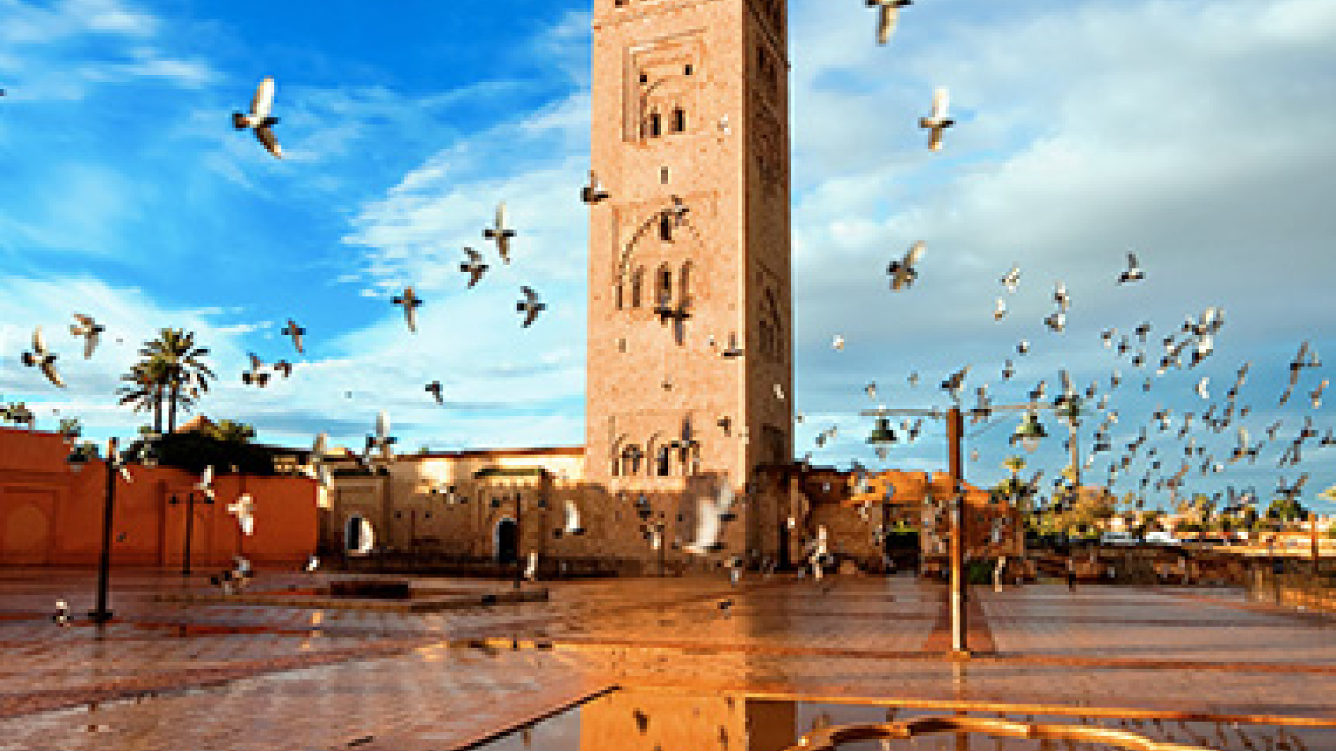 Marrakech image