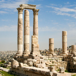 Bruxelles amman new arrivals
