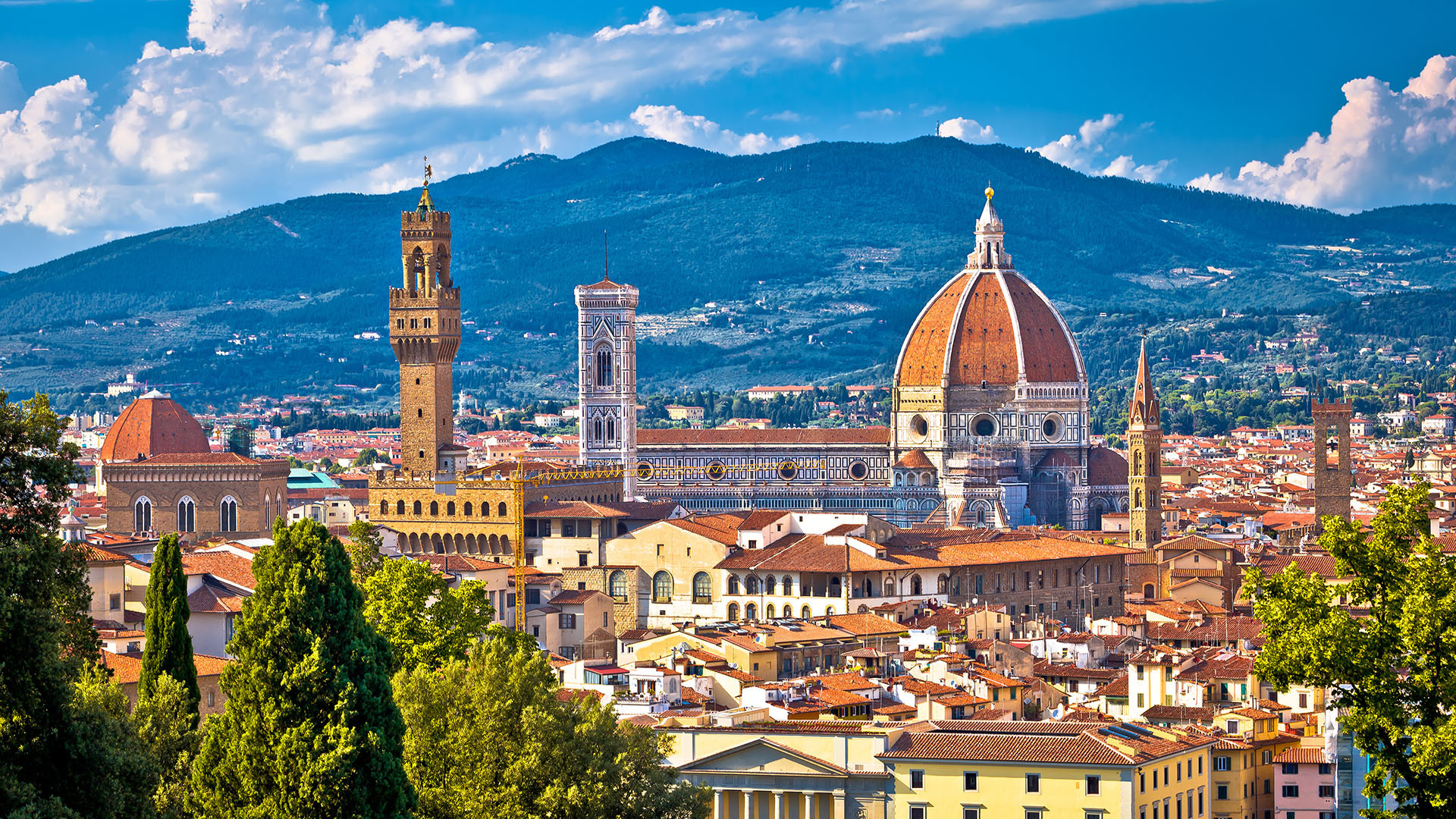Firenze image 5